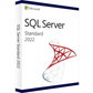 Microsoft SQL Server 2022 Standard 2 Core - Leistungsstarke Datenbanksoftware für Unternehmen.