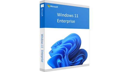Microsoft Windows 11 Enterprice